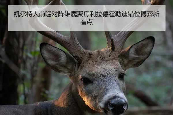 凯尔特人前瞻对阵雄鹿聚焦利拉德霍勒迪错位博弈新看点